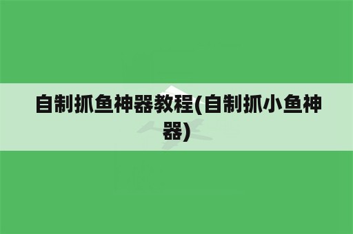 自制抓鱼神器教程(自制抓小鱼神器)