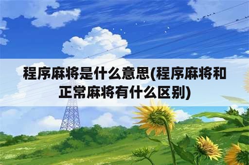 程序麻将是什么意思(程序麻将和正常麻将有什么区别)