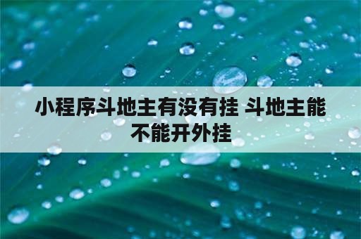 小程序斗地主有没有挂 斗地主能不能开外挂