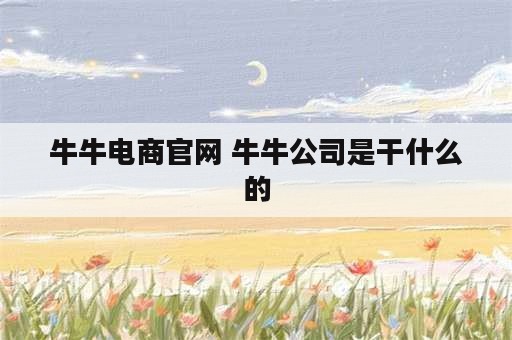 牛牛电商官网 牛牛公司是干什么的