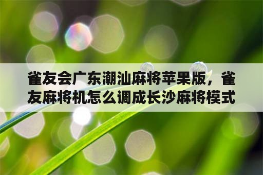 雀友会广东潮汕麻将苹果版，雀友麻将机怎么调成长沙麻将模式