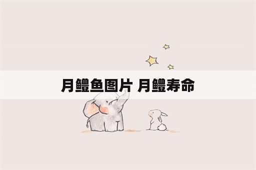 月鳢鱼图片 月鳢寿命