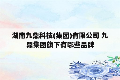 湖南九鼎科技(集团)有限公司 九鼎集团旗下有哪些品牌