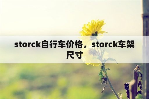 storck自行车价格，storck车架尺寸