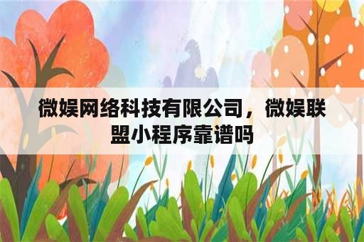 微娱网络科技有限公司，微娱联盟小程序靠谱吗