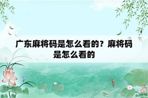 广东麻将码是怎么看的？麻将码是怎么看的