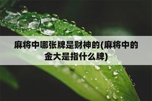 麻将中哪张牌是财神的(麻将中的金大是指什么牌)