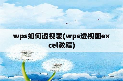 wps如何透视表(wps透视图excel教程)