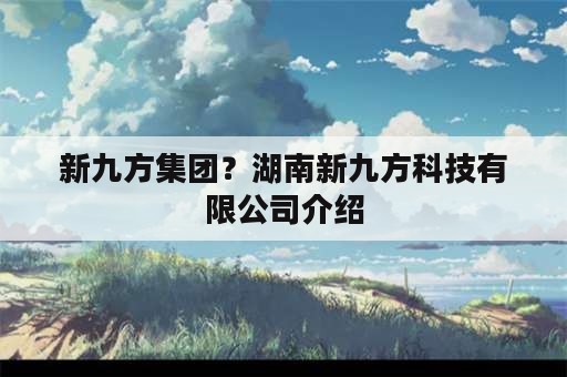 新九方集团？湖南新九方科技有限公司介绍