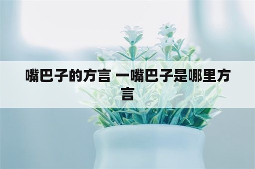 嘴巴子的方言 一嘴巴子是哪里方言