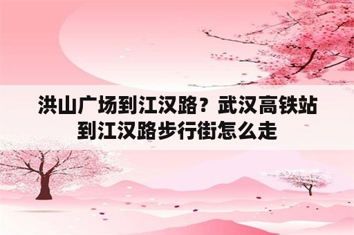 洪山广场到江汉路？武汉高铁站到江汉路步行街怎么走