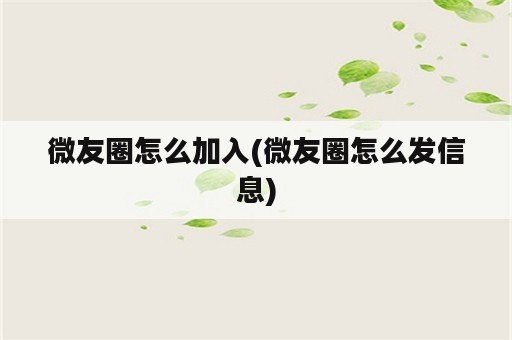 微友圈怎么加入(微友圈怎么发信息)