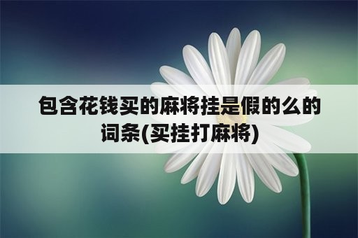 包含花钱买的麻将挂是假的么的词条(买挂打麻将)