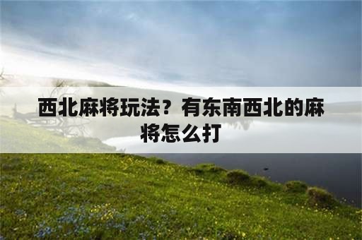 西北麻将玩法？有东南西北的麻将怎么打