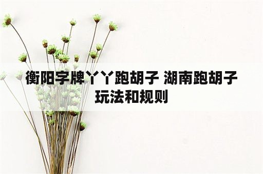 衡阳字牌丫丫跑胡子 湖南跑胡子玩法和规则