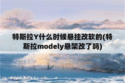 特斯拉Y什么时候悬挂改软的(特斯拉modely悬架改了吗)