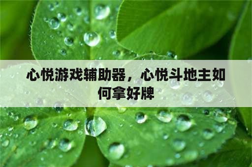 心悦游戏辅助器，心悦斗地主如何拿好牌