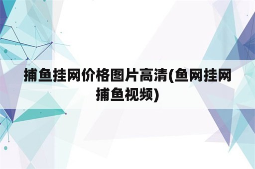 捕鱼挂网价格图片高清(鱼网挂网捕鱼视频)