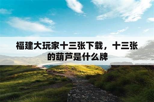 福建大玩家十三张下载，十三张的葫芦是什么牌