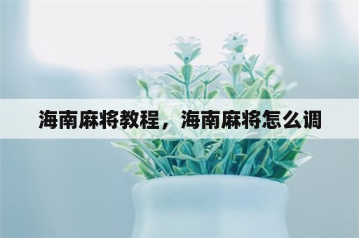 海南麻将教程，海南麻将怎么调