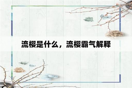 流樱是什么，流樱霸气解释