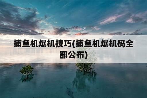 捕鱼机爆机技巧(捕鱼机爆机码全部公布)