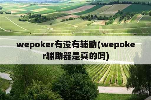 wepoker有没有辅助(wepoker辅助器是真的吗)