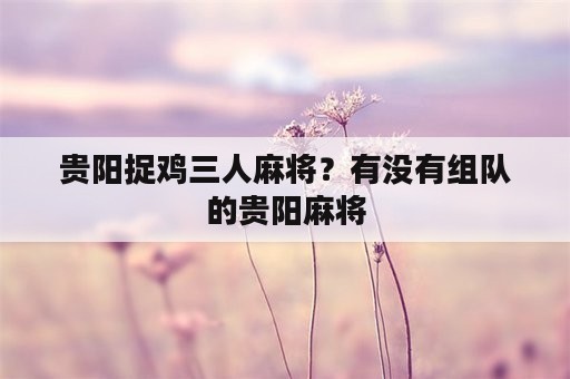 贵阳捉鸡三人麻将？有没有组队的贵阳麻将