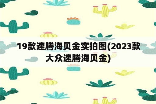 19款速腾海贝金实拍图(2023款大众速腾海贝金)