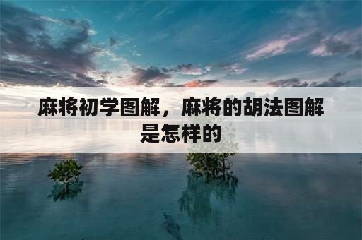 麻将初学图解，麻将的胡法图解是怎样的