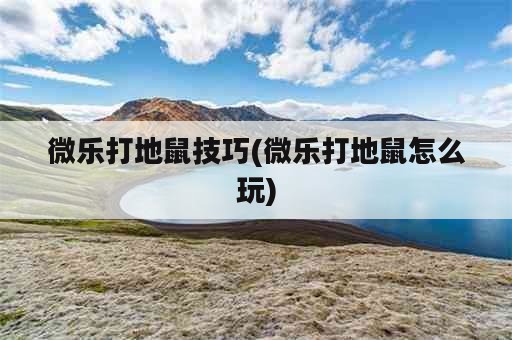 微乐打地鼠技巧(微乐打地鼠怎么玩)