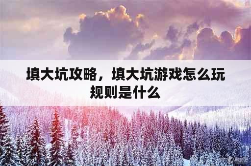 填大坑攻略，填大坑游戏怎么玩规则是什么