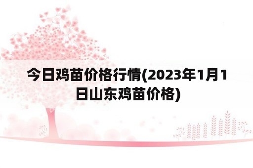 今日鸡苗价格行情(2023年1月1日山东鸡苗价格)