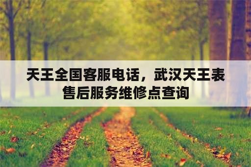 天王全国客服电话，武汉天王表售后服务维修点查询