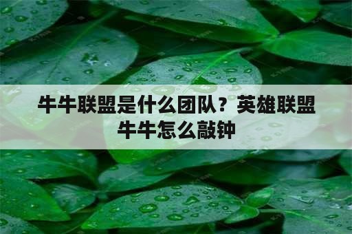 牛牛联盟是什么团队？英雄联盟牛牛怎么敲钟