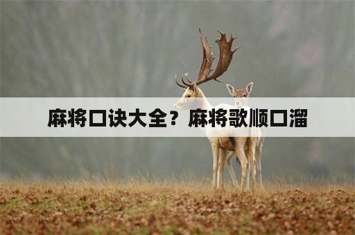 麻将口诀大全？麻将歌顺口溜