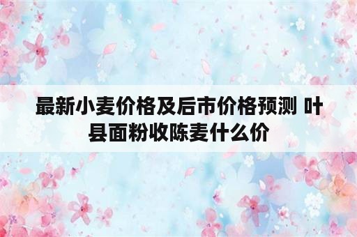 最新小麦价格及后市价格预测 叶县面粉收陈麦什么价