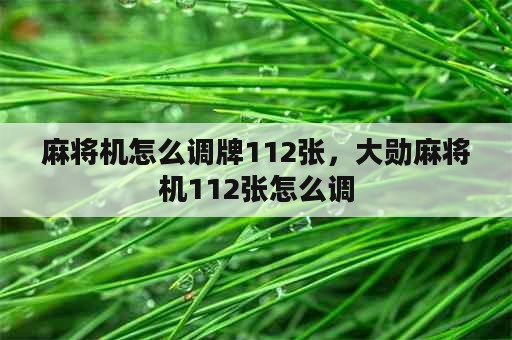 麻将机怎么调牌112张，大勋麻将机112张怎么调