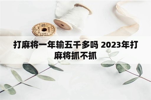 打麻将一年输五千多吗 2023年打麻将抓不抓