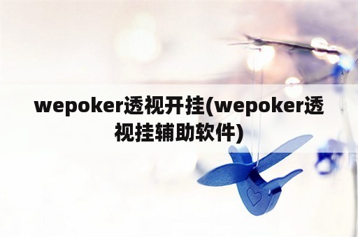 wepoker透视开挂(wepoker透视挂辅助软件)