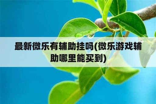 最新微乐有辅助挂吗(微乐游戏辅助哪里能买到)