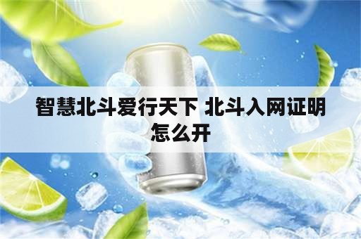 智慧北斗爱行天下 北斗入网证明怎么开