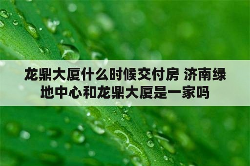 龙鼎大厦什么时候交付房 济南绿地中心和龙鼎大厦是一家吗