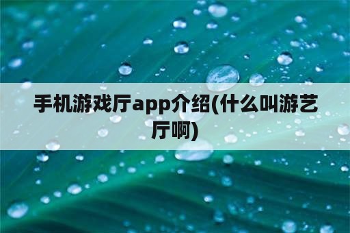 手机游戏厅app介绍(什么叫游艺厅啊)