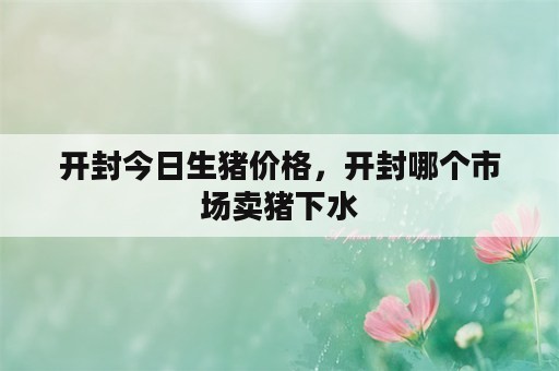 开封今日生猪价格，开封哪个市场卖猪下水