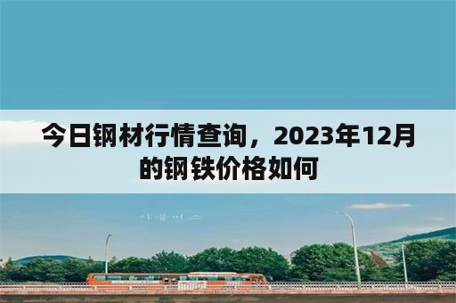 今日钢材行情查询，2023年12月的钢铁价格如何