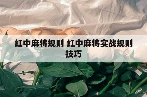 红中麻将规则 红中麻将实战规则技巧