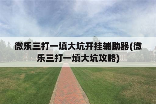 微乐三打一填大坑开挂辅助器(微乐三打一填大坑攻略)