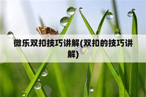 微乐双扣技巧讲解(双扣的技巧讲解)