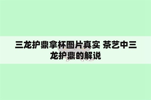 三龙护鼎拿杯图片真实 茶艺中三龙护鼎的解说